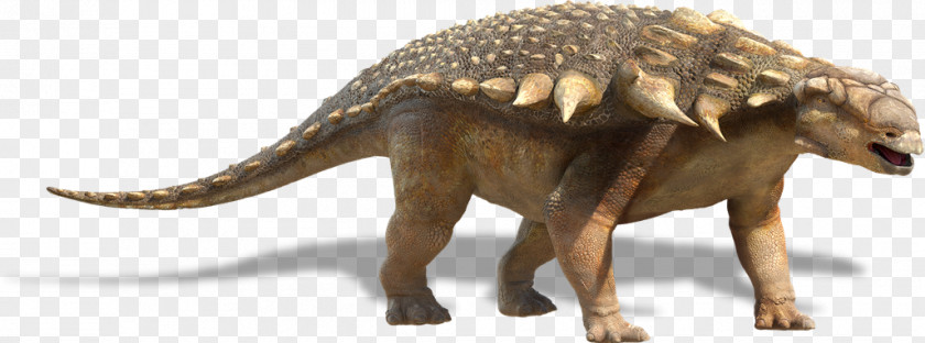 Dinosaur Edmontonia Nodosaurus Triceratops Tyrannosaurus Stegosaurus PNG