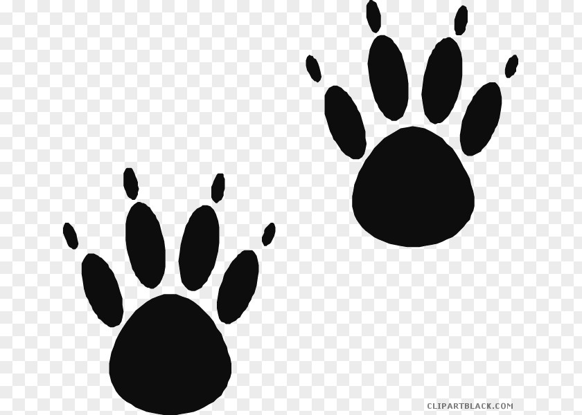 Bear American Black Paw Clip Art Cat PNG