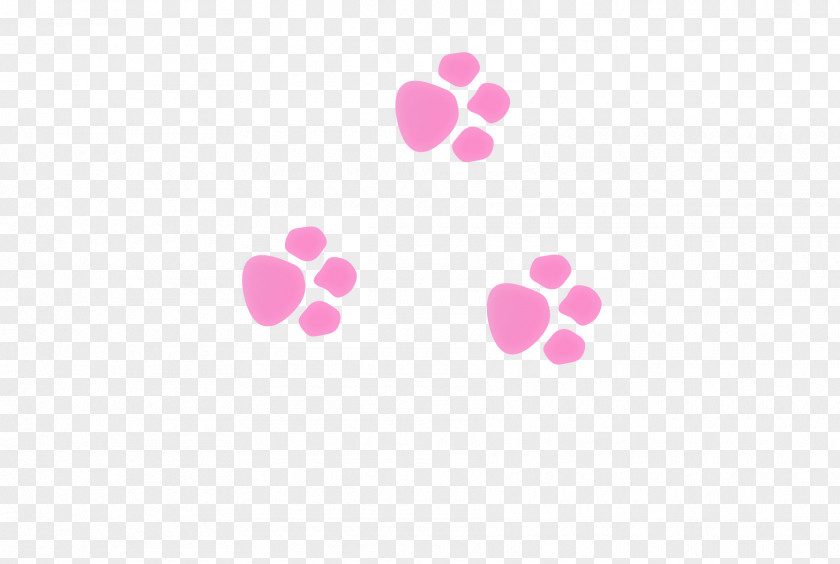 Cat Footprints Animal Track Footprint Icon PNG