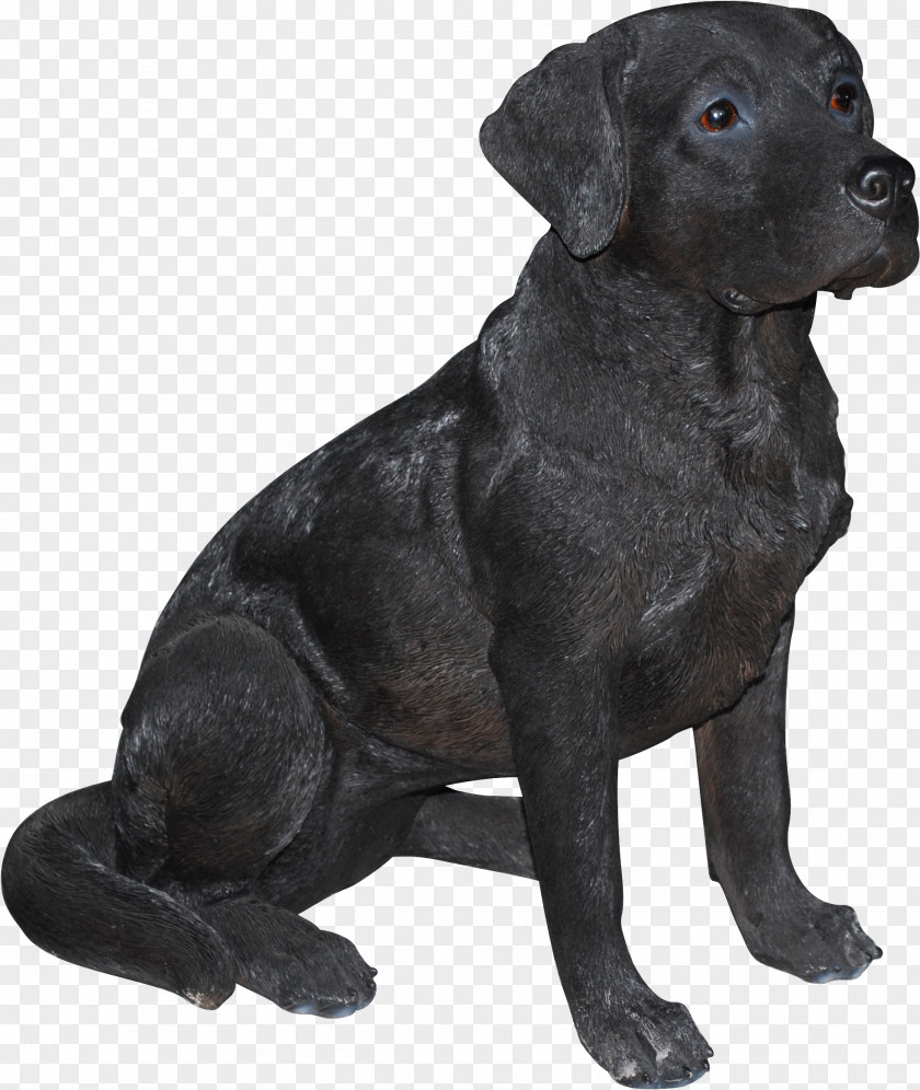 Great Dane Guard Dog And Cat PNG