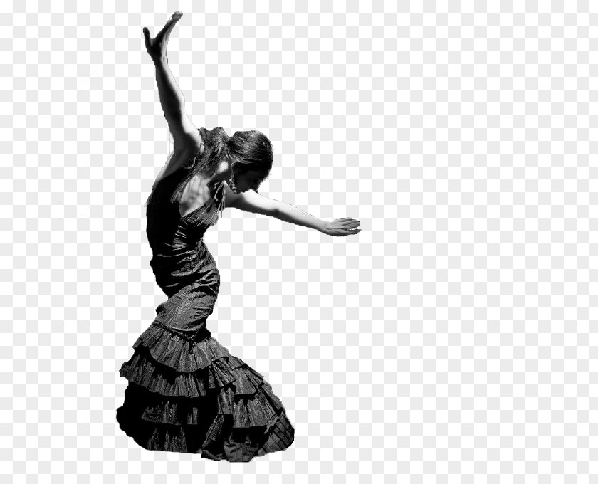 Obesity Contrast Dance Flamenco Academia De Baile Elegance Location Andalusia PNG