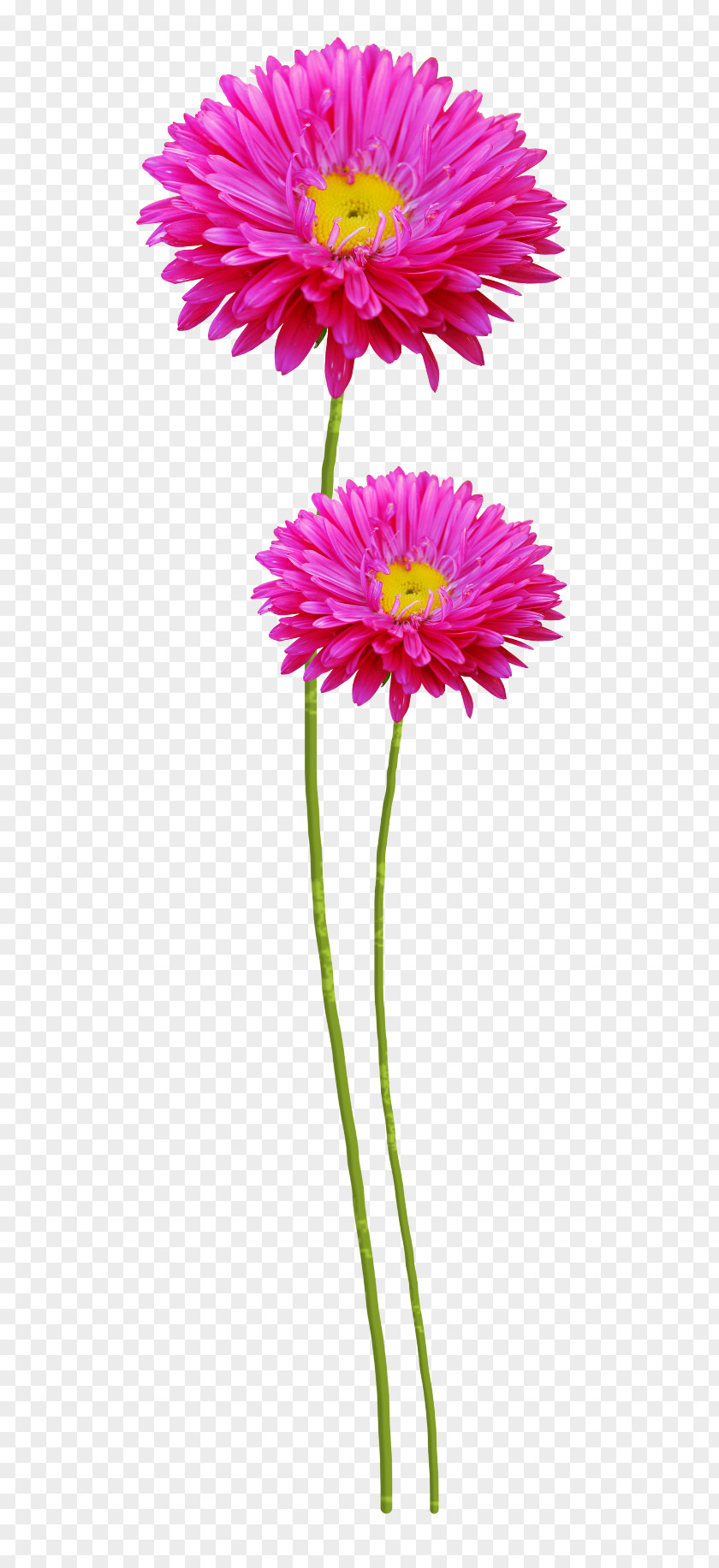 Purple Flower Clip Art PNG