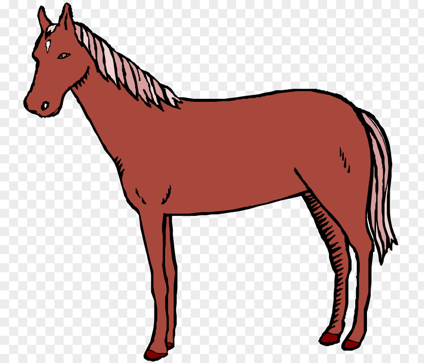 Twi Cliparts Twilight Sparkle Mule Horse Pony Clip Art PNG
