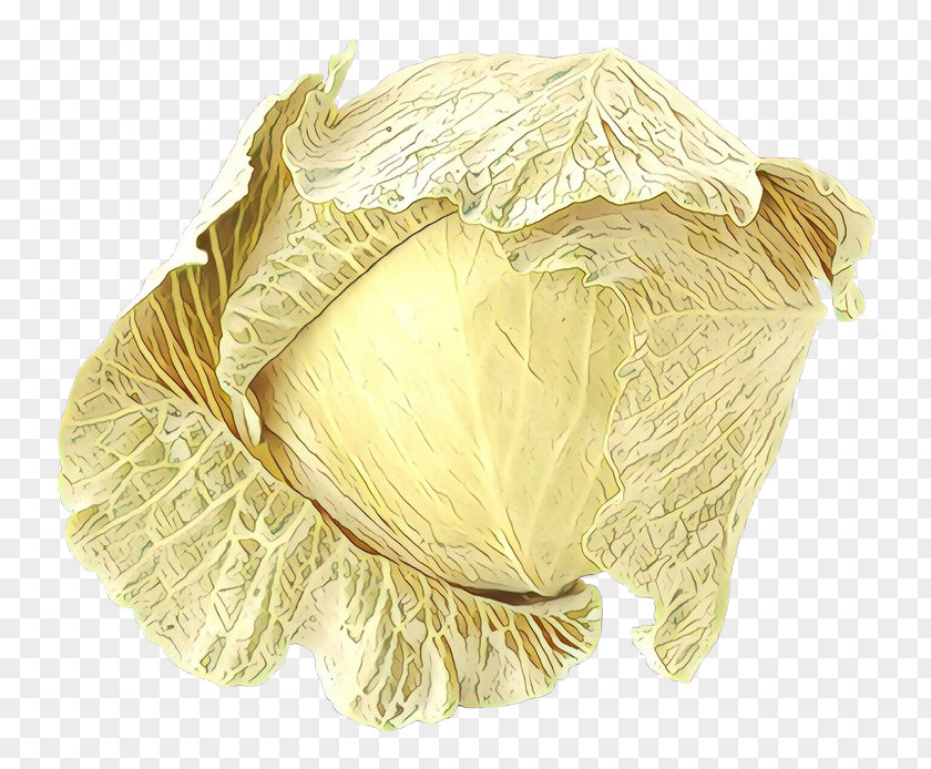 Beige Feather Cauliflower PNG