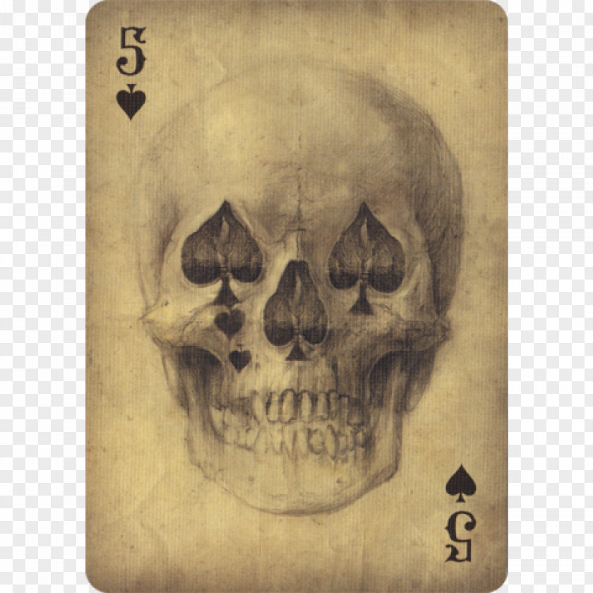 CardArt Death Calavera Ace Of Spades Day The Dead Human Skull Symbolism PNG