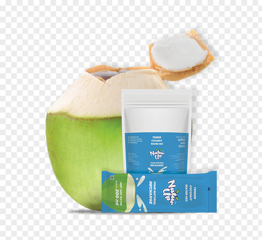 Coconut Powder Water Juice NaturUp Consumer Products LLP Milk PNG