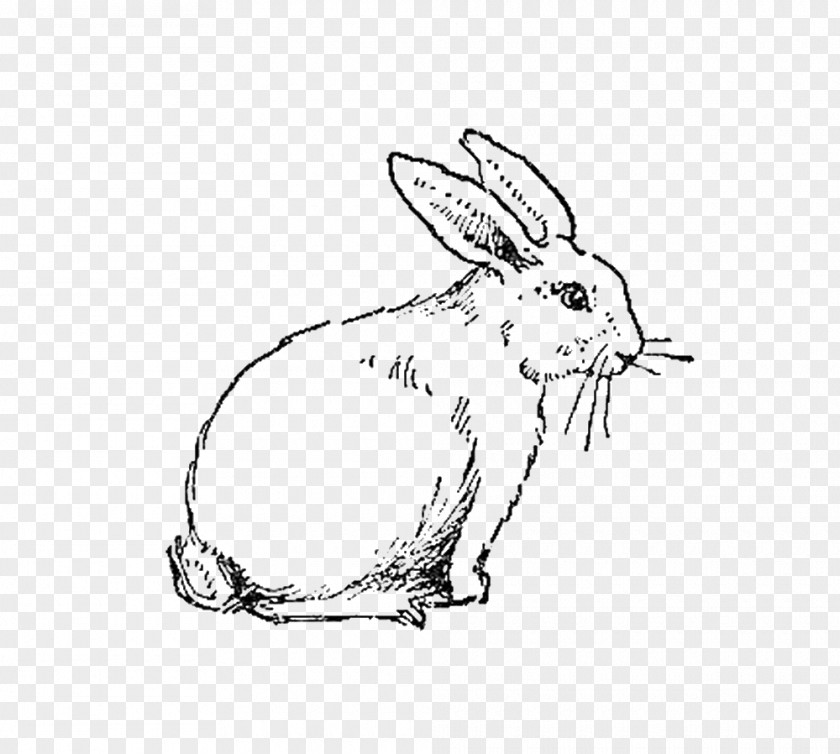 Cute Stamp Side Domestic Rabbit Hare Easter Bunny Digital PNG
