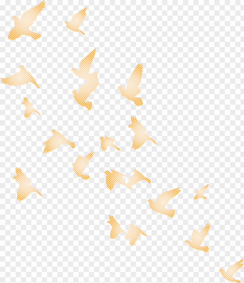 Flying Birds Background PNG