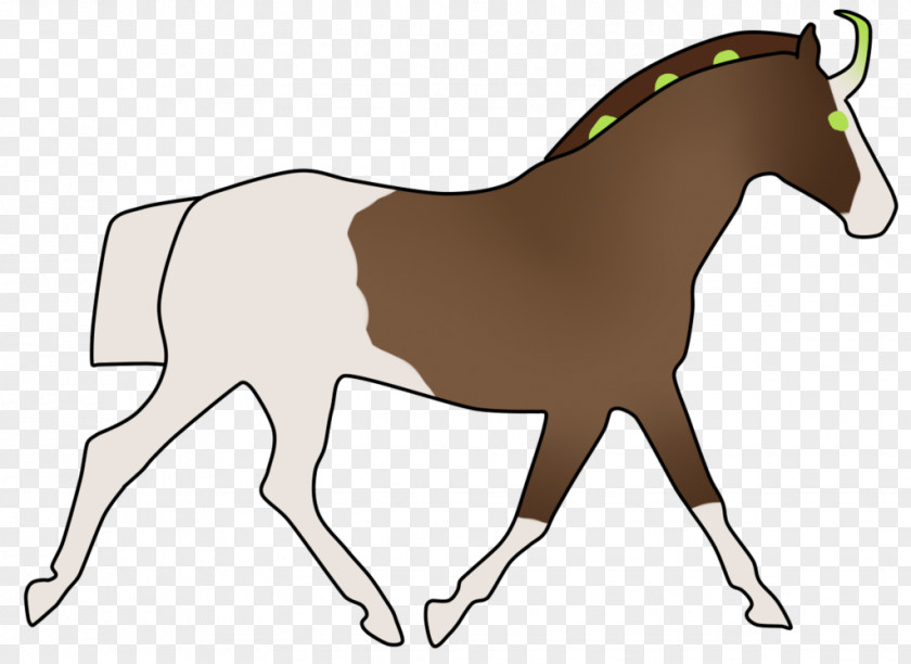 HR Open Day Mule Foal Stallion Colt Bridle PNG
