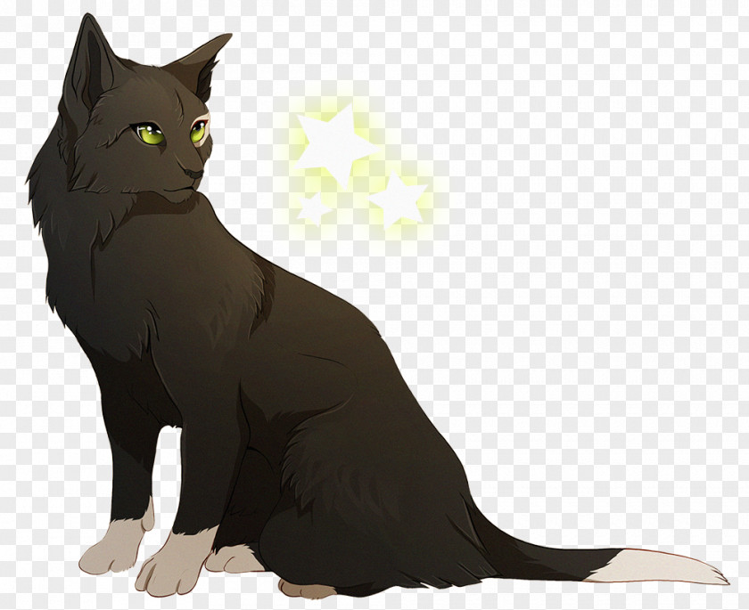 Kitten Black Cat Domestic Short-haired Whiskers PNG