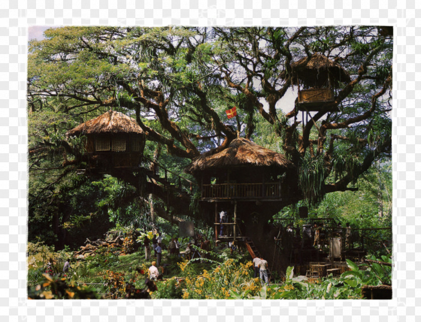 Lush Tree Top The Swiss Family Robinson Treehouse House Adventure Film PNG