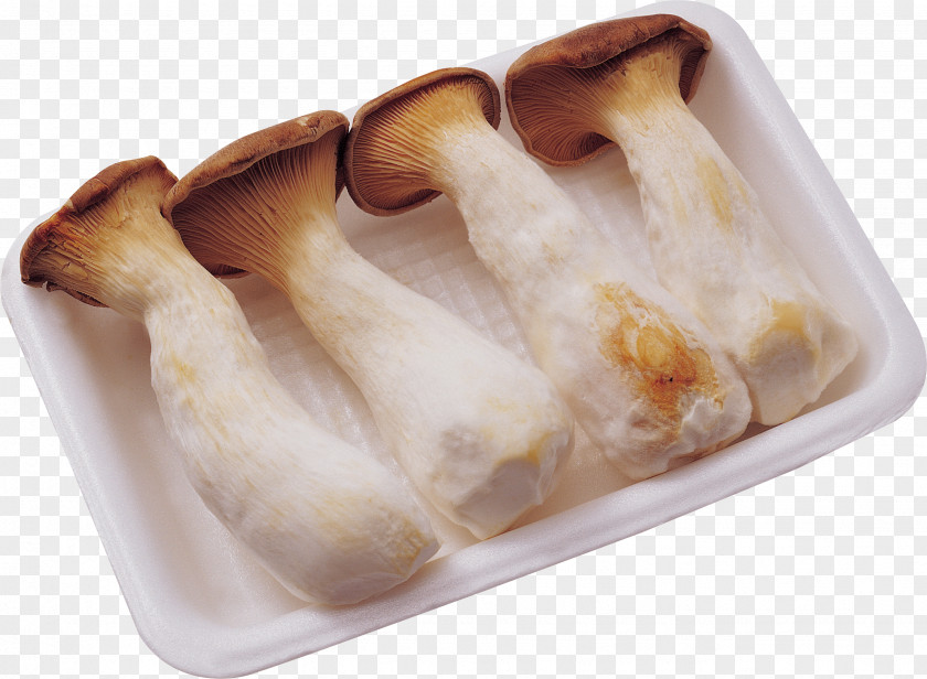Mushroom Fungus Ingredient Recipe Clip Art PNG