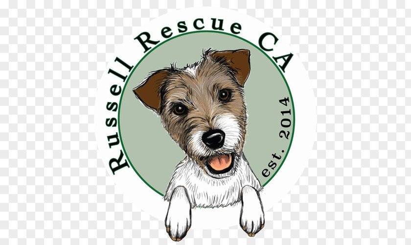 Puppy Cairn Terrier Norwich Jack Russell Schnoodle PNG