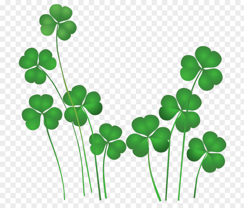 Saint Patrick's Day St. Shamrocks Ireland Clip Art PNG