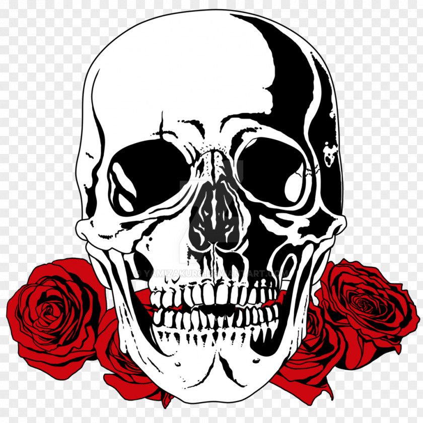 Skull T-shirt Bone Drawing Rose PNG