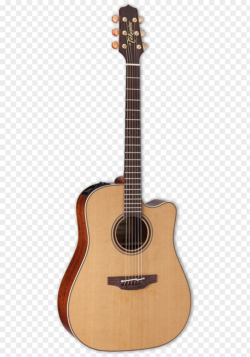 Takamine Acoustic Guitar Alhambra Classical Acoustic-electric PNG