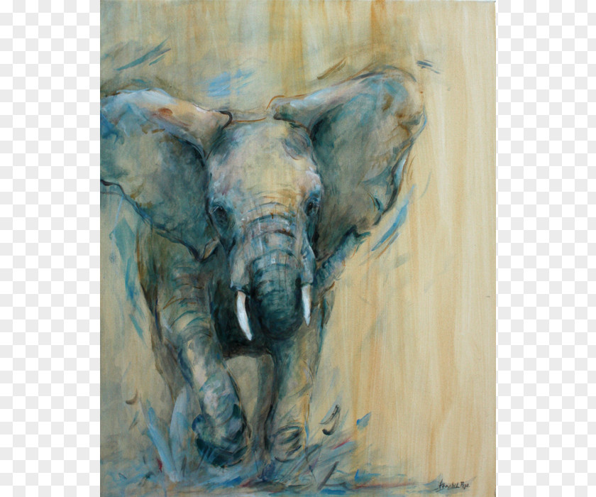 Young And Energetic Indian Elephant African Watercolor Painting PNG