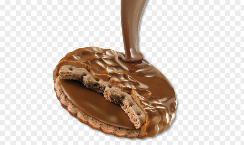 Chocolate Spread Praline Lebkuchen Cacao Tree PNG