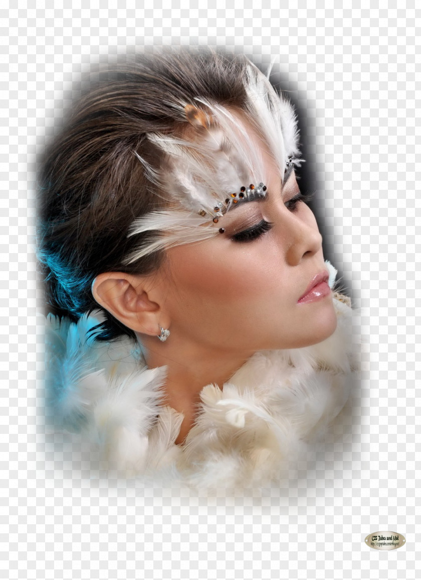 Feather Eyebrow Bird Cosmetics Permanent Makeup PNG