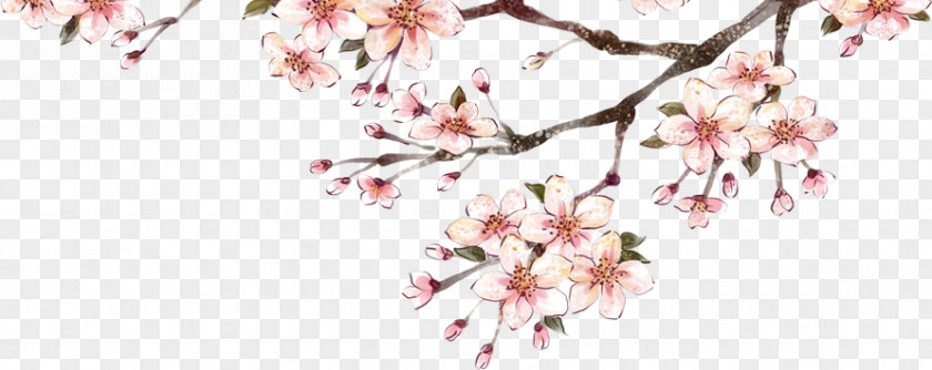Plum Pattern Material Blossom Download PNG
