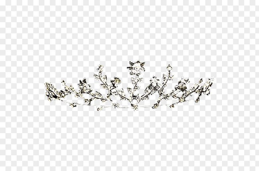 Princess Crown Tiara Jewellery Headpiece Clothing Accessories PNG
