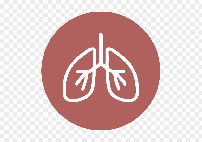 Silva Breathing Lung Respiratory System Pulmonology Human Body PNG