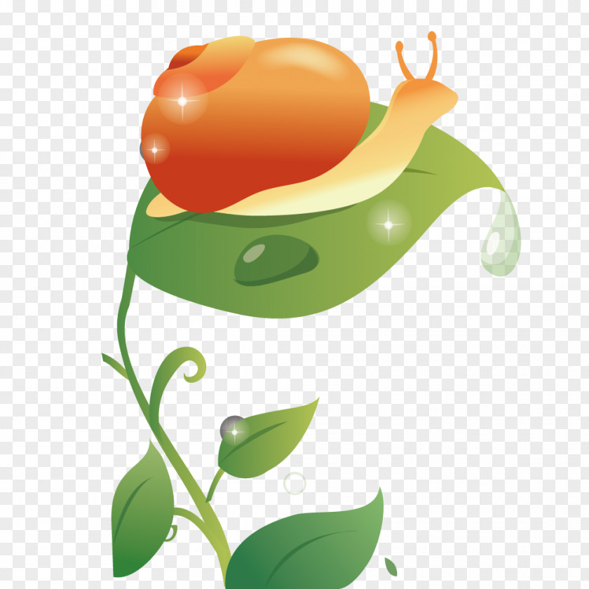Snail On The Leaves Download Royalty-free Clip Art PNG