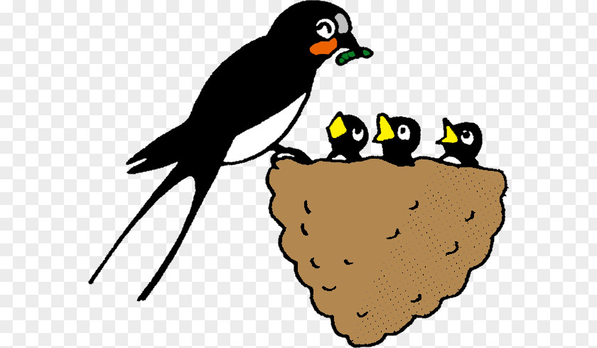 Summer Season Edible Bird's Nest Barn Swallow Beak Child PNG