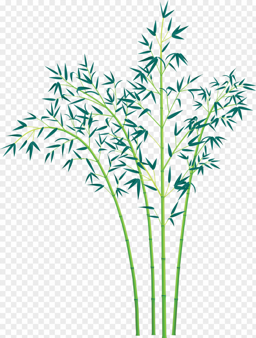 Bamboo Leaf PNG