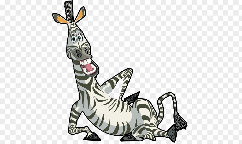 Cartoon Zebra Marty Melman Alex Gloria Madagascar PNG