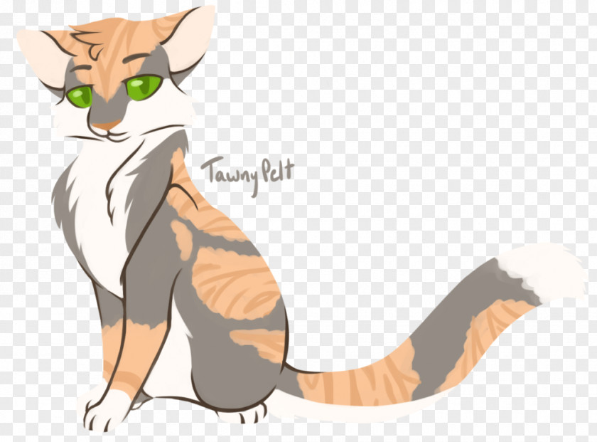 Cat Whiskers Rising Storm Tawnypelt Warriors PNG