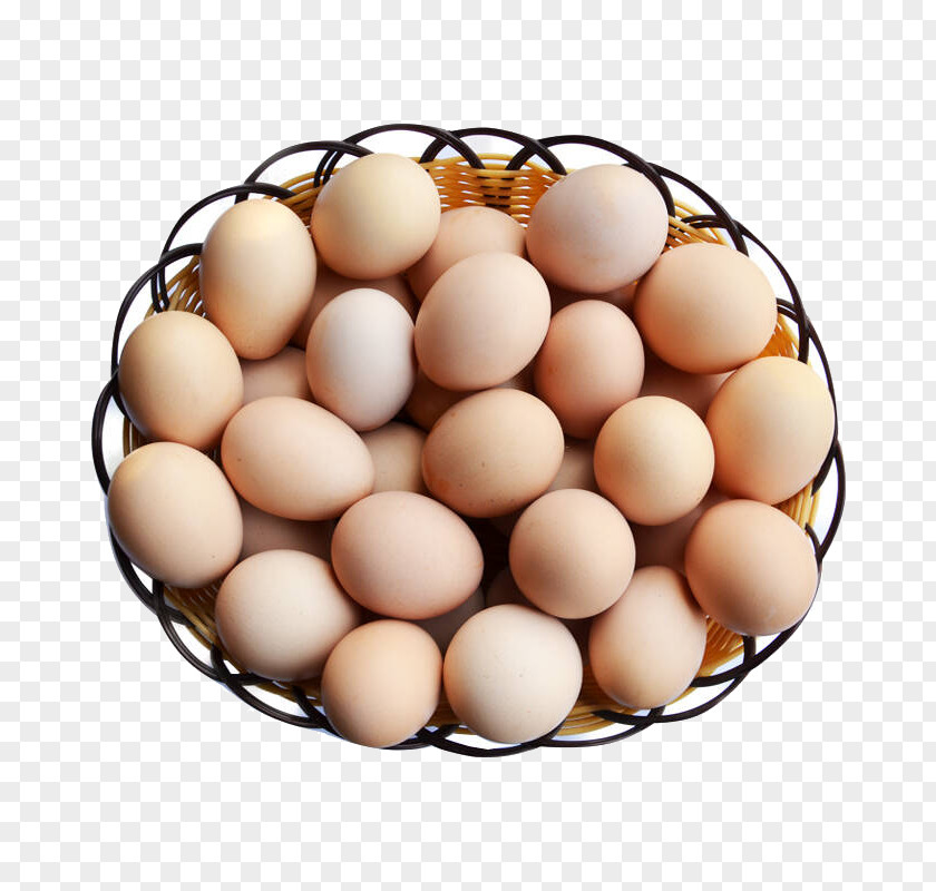 Egg Material,Posters Material Chicken Salted Duck Poster PNG