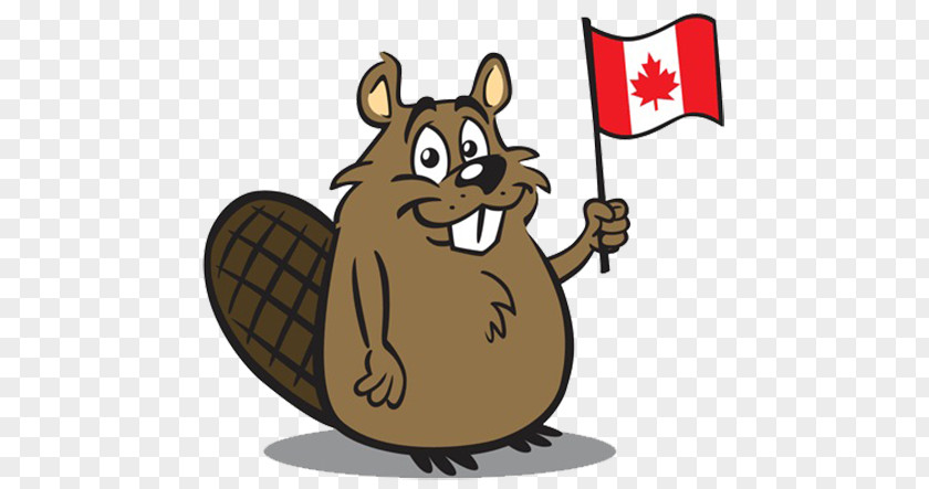 Flag Beavers Canada North American Beaver Clip Art PNG