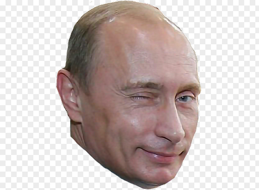 Jun Russia Putin Vladimir President Of Journalist Image PNG
