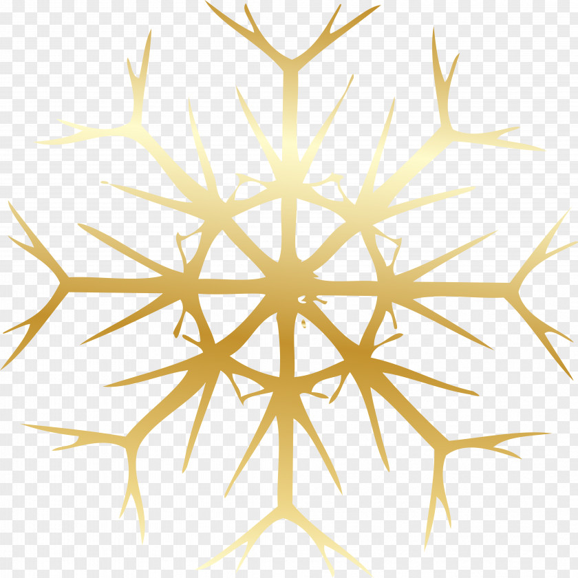 Snowflakes Elsa Snowflake Shape Clip Art PNG