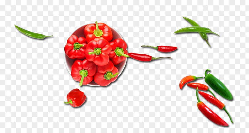 Vegetables Chili Pepper Bell Cherry Tomato Vegetable Peperoncino PNG