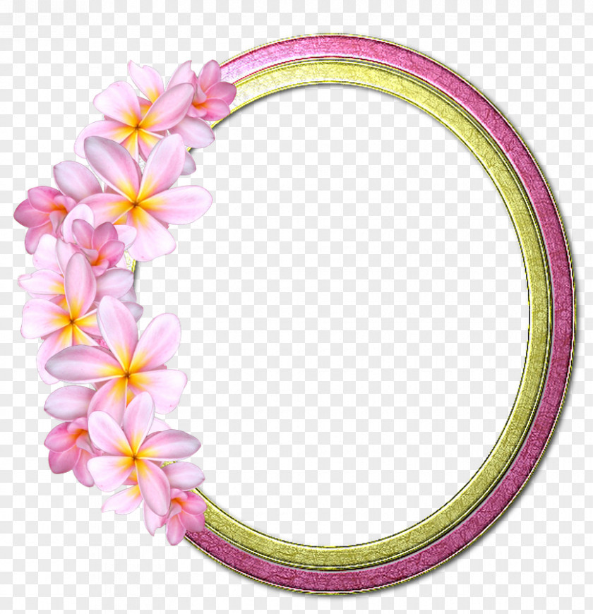 Dan Cut Flowers Pink M Picture Frames Petal PNG