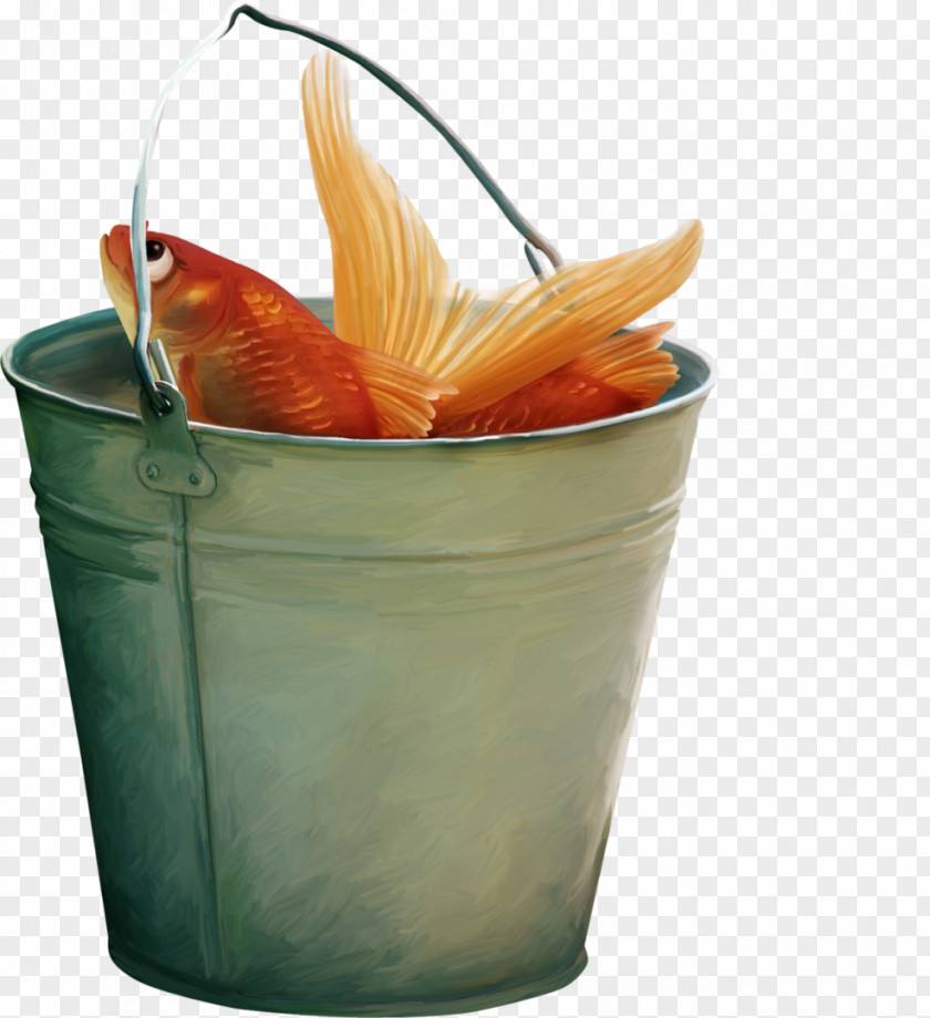 Goldfish Shark Clip Art PNG