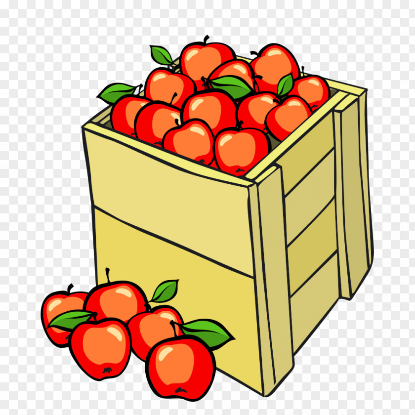 Vector Red Apple Auglis Cartoon Illustration PNG
