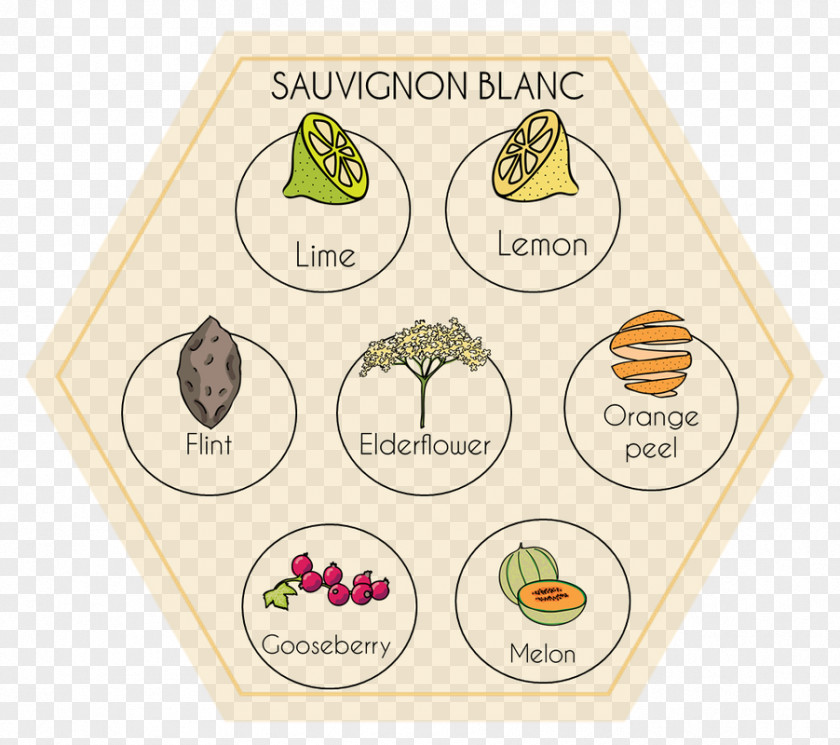 Do Homework Wine Tasting Sauvignon Blanc Aroma Of Color PNG