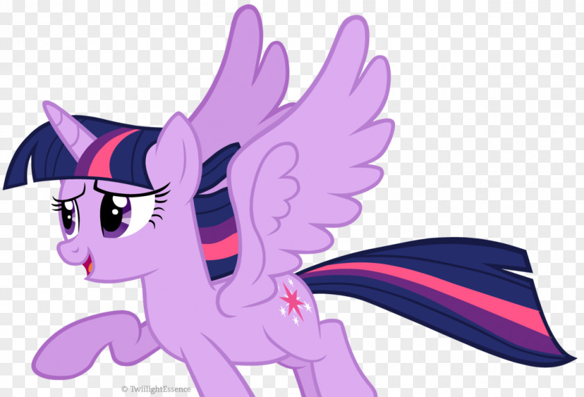 Twilight Sparkle Pony Princess Cadance DeviantArt PNG