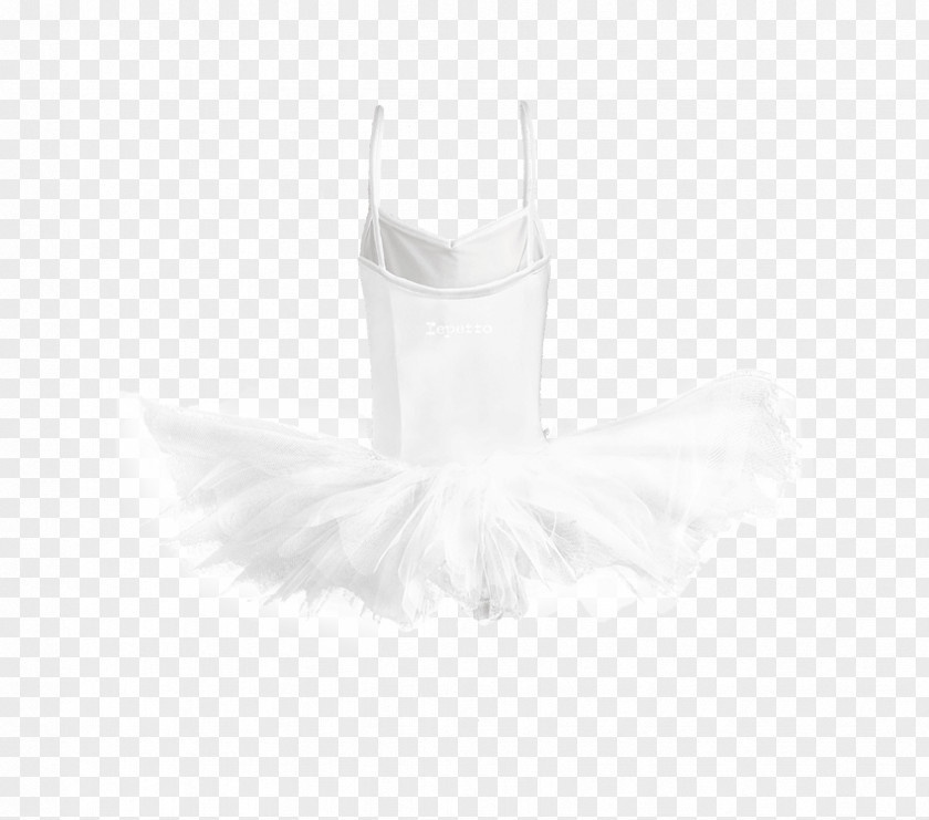 Ballet Tutu Dress PNG