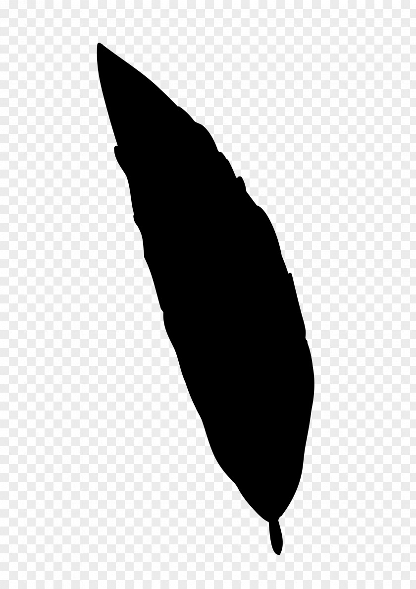 M Leaf Clip Art Silhouette Line Black & White PNG