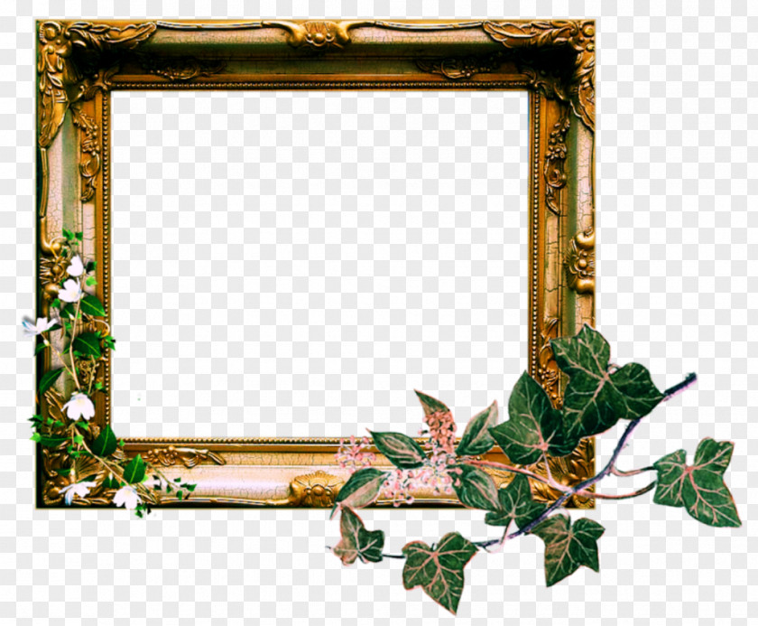 Mirror Ivy Background Vintage Frame PNG