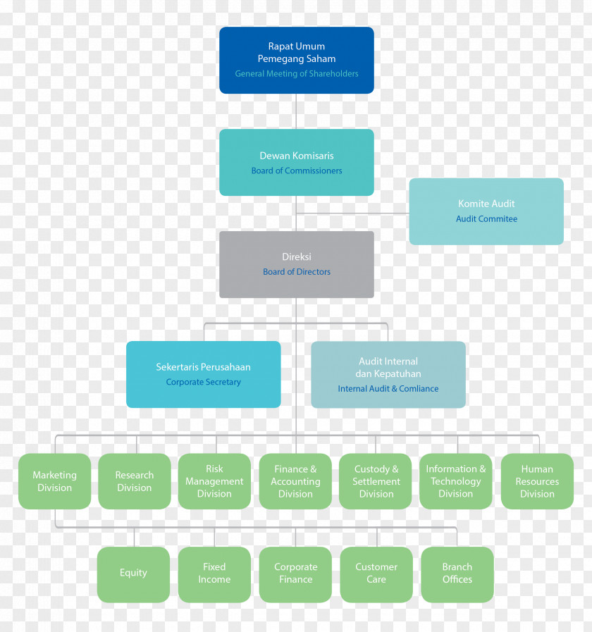 Struktur Organisasi Organizational Structure Joint-stock Company Corporation PNG