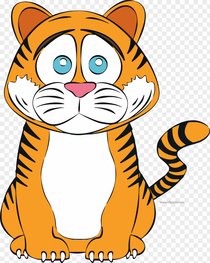 Tiger Clip Art Whiskers Vector Graphics Image PNG