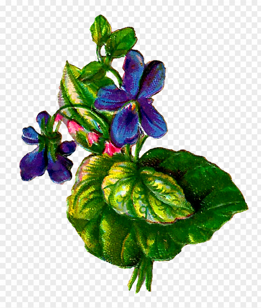 Botanical Paper Flower Violet Clip Art PNG