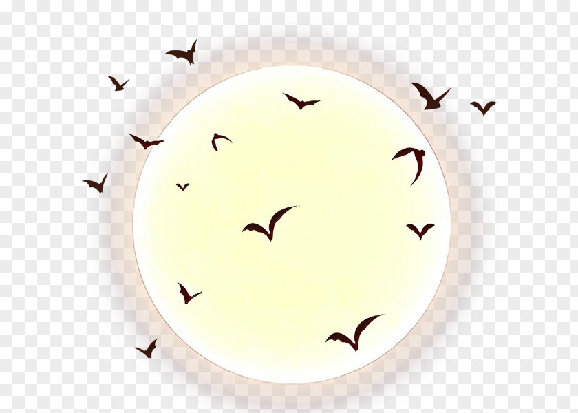 Flock Bird Migration Bat Fly PNG