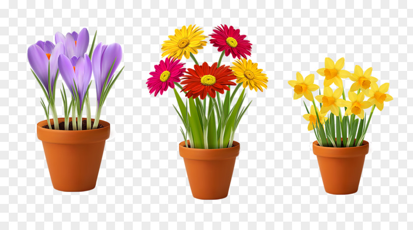 Flower Flowerpot Stock Photography Clip Art PNG