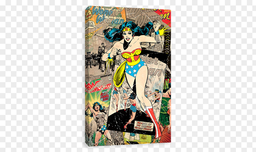 Luke Skywalker Disney Infinity Wonder Woman Canvas Comic Book DC Comics Art PNG